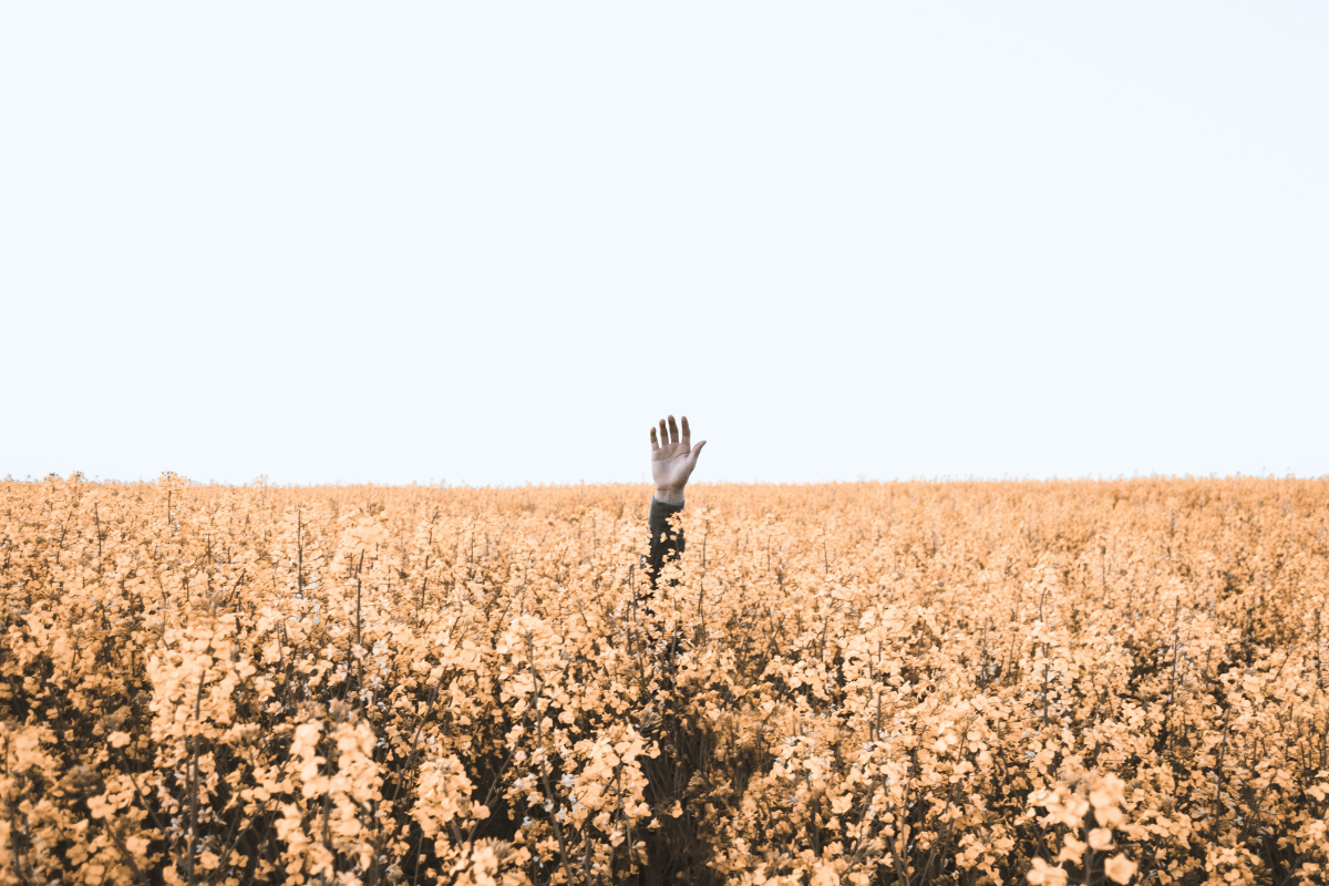Abraham’s Faith: Seeking God’s Presence