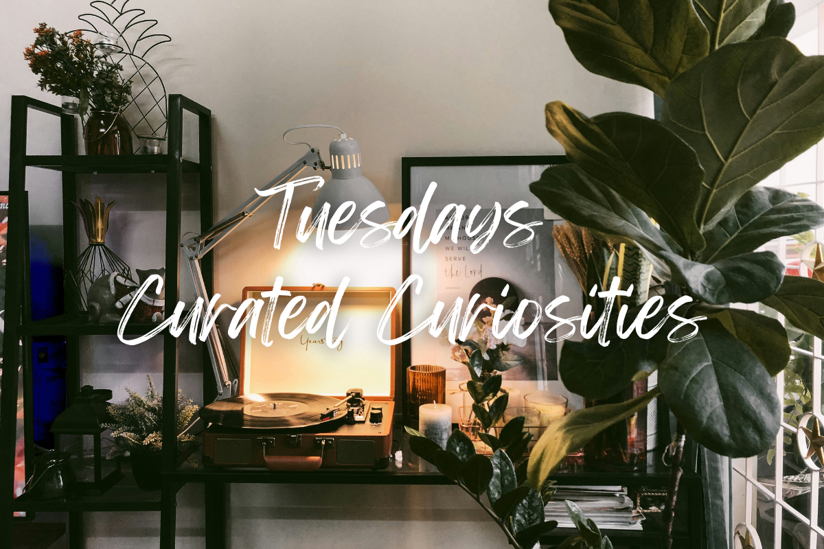 Curated Curiosities Tuesdays
